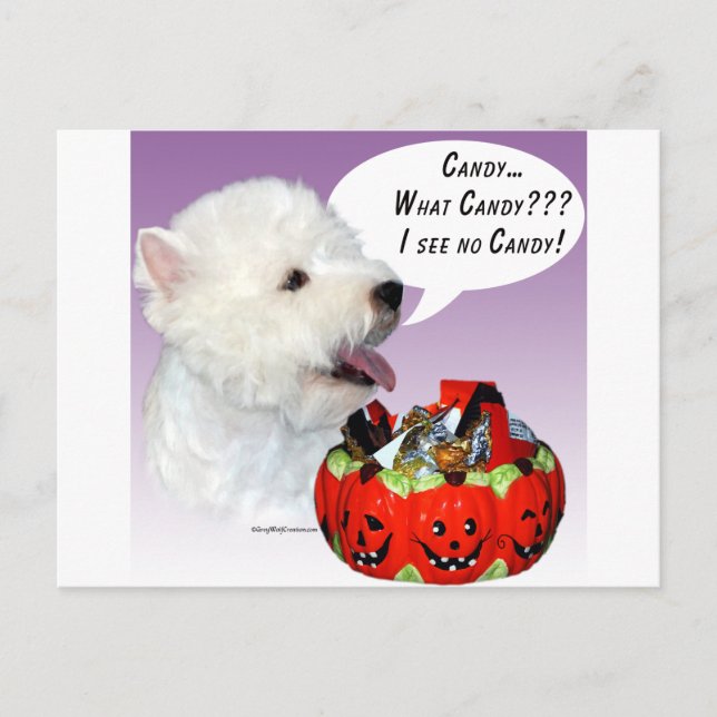Väster Highland White Terrier Halloween Candy Vykort (Framsida)