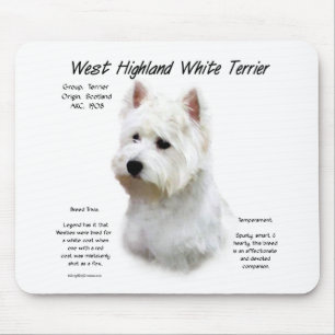 Väster Highland White Terrier History Design Musmatta