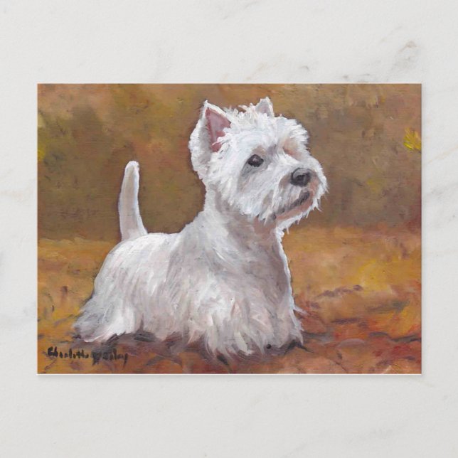 Väster Highland White Terrier Hund Art Postcard Vykort (Framsida)