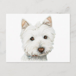 Väster Highland White Terrier Hund Vykort