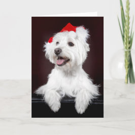 Väster Highland White Terrier-julkort Helgkort