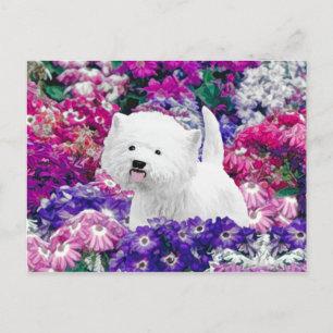 Väster Highland White Terrier Painting Hund Art Vykort