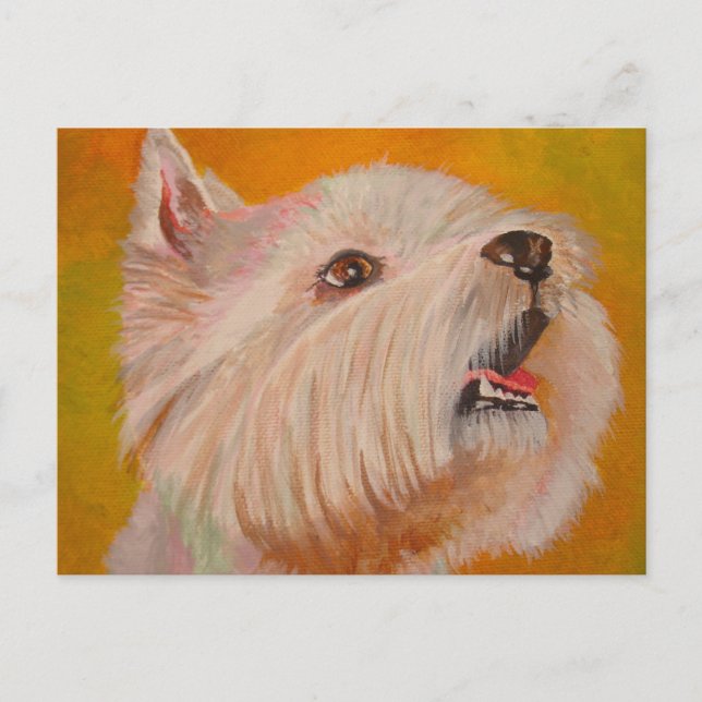 Väster Highland White Terrier Porträtt Vykort (Framsida)