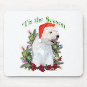 Väster Highland White Terrier "Tis Musmatta
