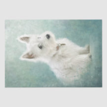 Väster Highland White Terrier Tissue Paper