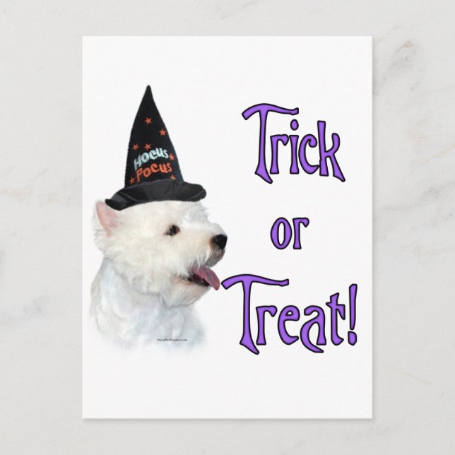 Väster Highland White Terrier Trick Vykort (Framsida)