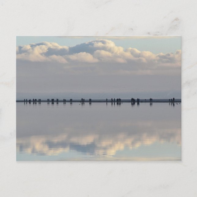 Väster Kirby Marina Vykort (Framsida)