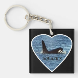 Väster Kusten Killer Whale ’Aquarius’ Orca
