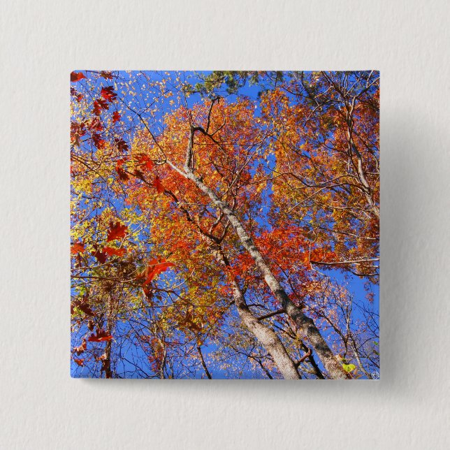 Väster Mt. Hösten Hett Vår nationalparksgåvor Knapp (Framsida)