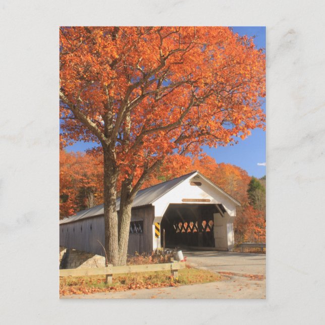 Väster River Covered Bridge och Oak Vermont Vykort (Framsida)