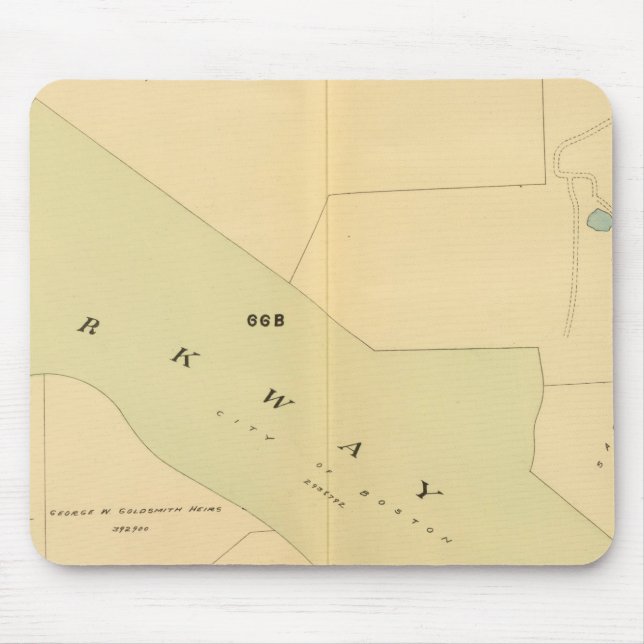 Väster Roxbury, Massachusetts 4 Musmatta (Framsidan)