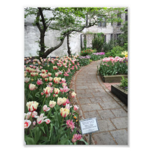Väster Side Community Garden Tulip New York City N Fototryck