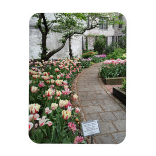 Väster Side Community Garden Tulip New York City N Magnet