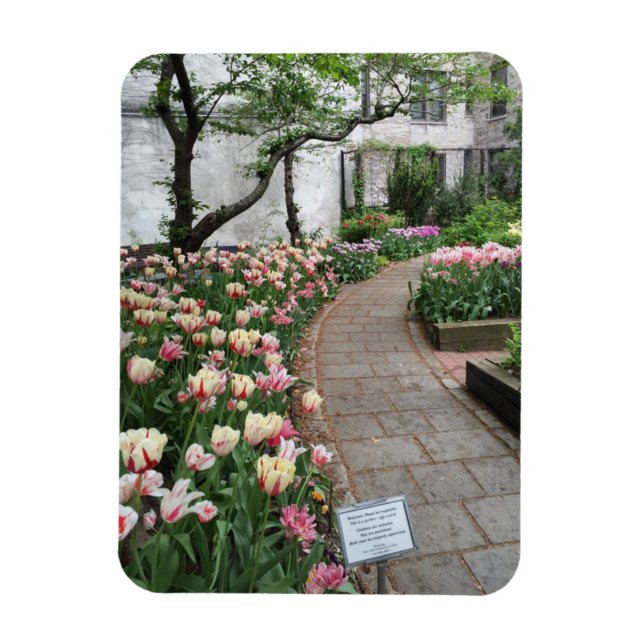 Väster Side Community Garden Tulip New York City N Magnet (Vertikal)
