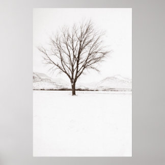 Väster Texas Snöstorm Poster