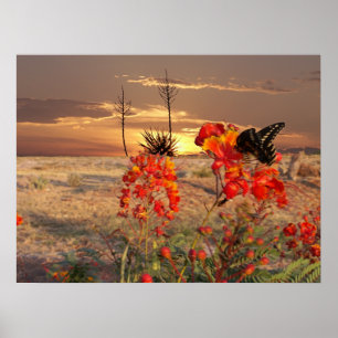 Väster Texas Sunset Poster