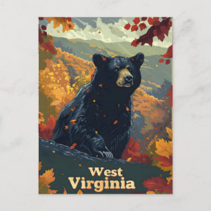 Väster Virginia Black Bear Vykort