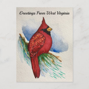 Väster Virginia State Bird Cardinal Watercolor Vykort