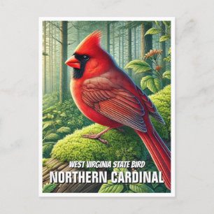 Väster Virginia State Bird Northern Kardinal Vykort