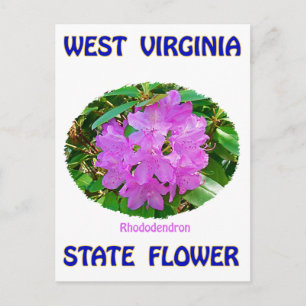 Väster Virginia State Flower T-Shirts & Gifts Vykort