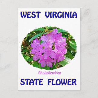Väster Virginia State Flower T-Shirts & Gifts Vykort