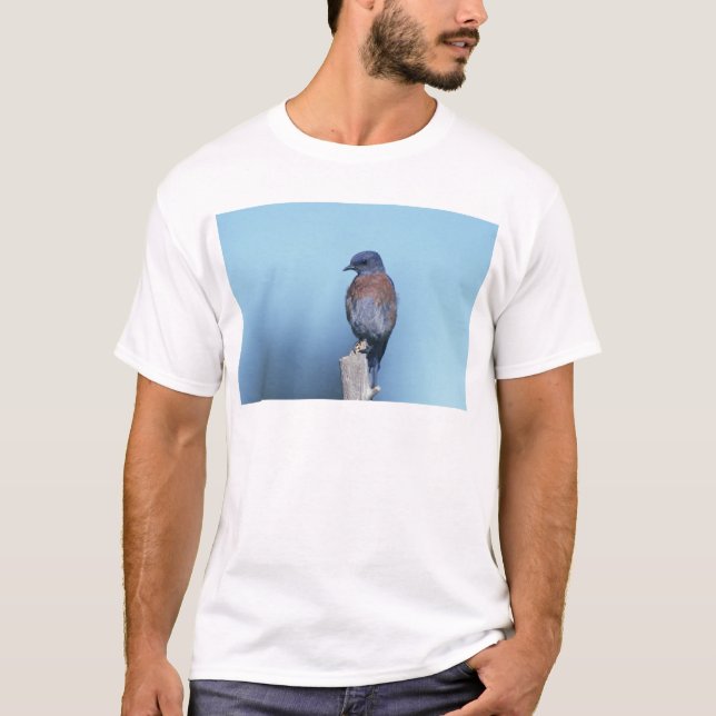 Västerländsk blåmes t-shirt (Framsida)