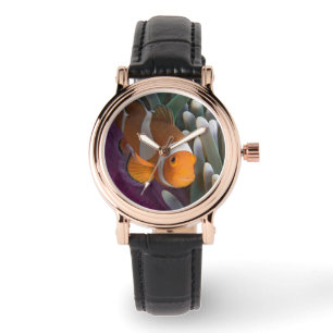Västerländsk klovananemonfisk armbandsur
