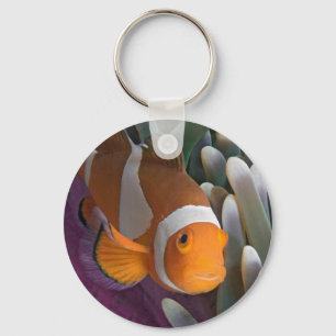 Västerländsk klovananemonfisk nyckelring