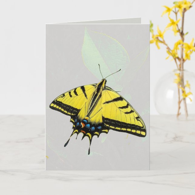 Västerländsk tiger svalstjärt fjäril & blad  kort (Gul blomma)