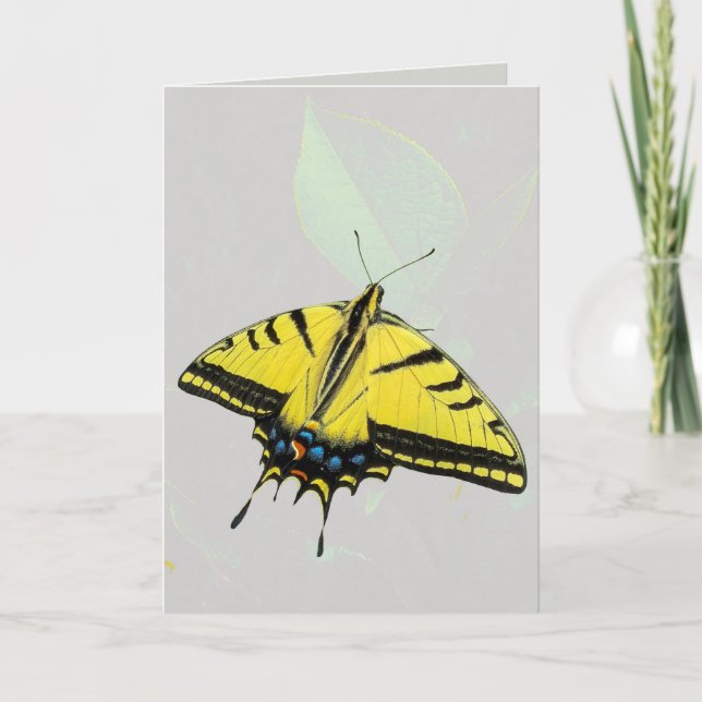 Västerländsk tiger svärmfjäril & blad  kort (Framsida)