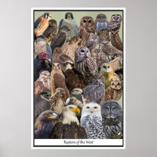 Västerns våldtäktsmän poster