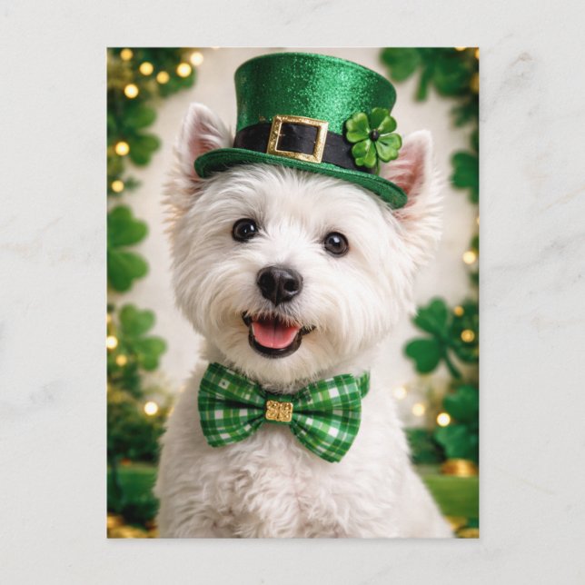 Västhöglandsterrrier St. Patrick's Day-kort Vykort (Framsida)