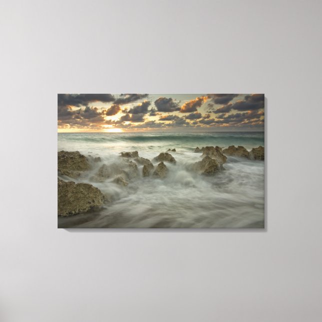 Västindien, Caymanöarna Skrämmande vinkar 3 Canvastryck (Framsida)