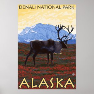 Västindien - Denali Nationalpark, Alaska Poster
