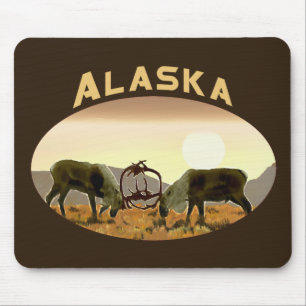 Västindien Duel - Alaska Musmatta