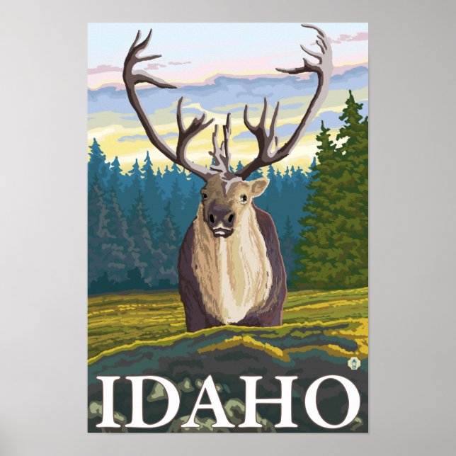 Västindien i Vilden - Idaho Poster (Framsidan)