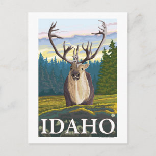 Västindien i Vilden - Idaho Vykort