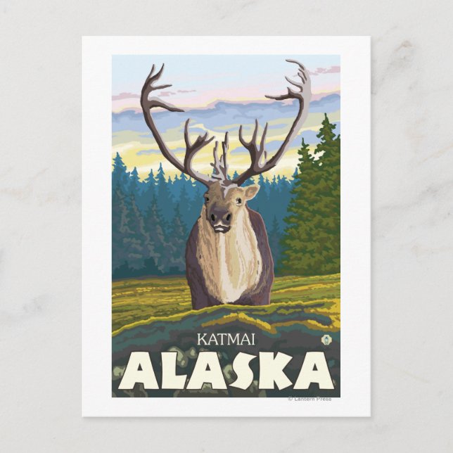 Västindien i Vilden - Katmai, Alaska Vykort (Framsida)