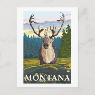 Västindien i Vilden - Montana Vykort