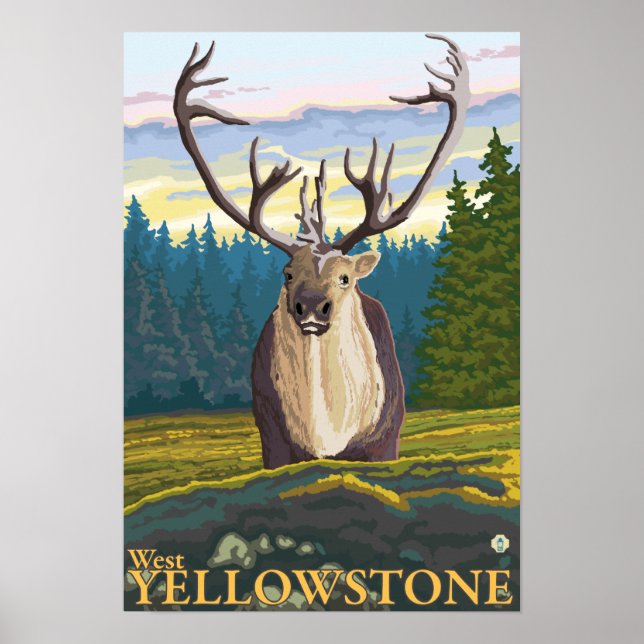 Västindien i Vilden - Väster Yellowstone, MT Poster (Framsidan)