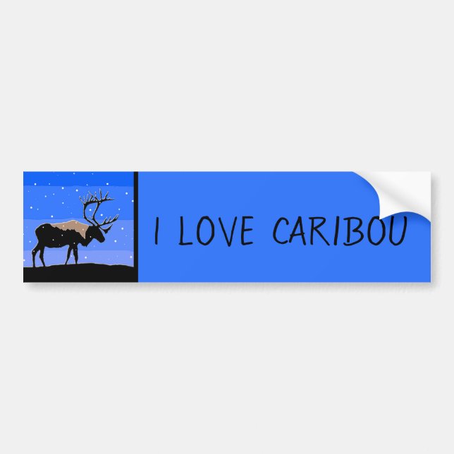 Västindien i Winter - Original Wildlife Art Bildekal (Framsidan)