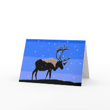 Västindien i Winter - Original Wildlife Art