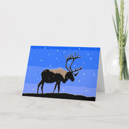 Västindien i Winter - Original Wildlife Art Helgkort