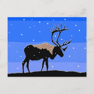 Västindien i Winter - Original Wildlife Art Vykort