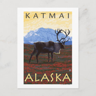 Västindien - Katmai, Alaska Vykort