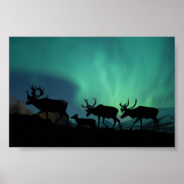 Västindien och norra Ljus Poster (Framsidan)