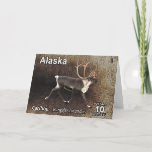 Västindien (renare) - Alaska Postage Helgkort
