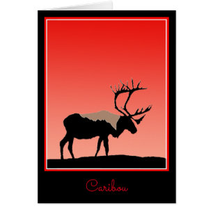 Västindien vid Sunset - Original Wildlife Art Hälsningskort