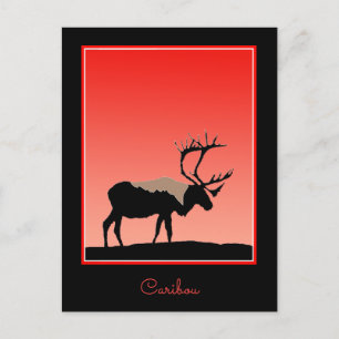 Västindien vid Sunset - Original Wildlife Art Vykort