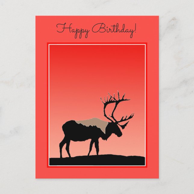 Västindien vid Sunset - Original Wildlife Art Vykort (Framsida)